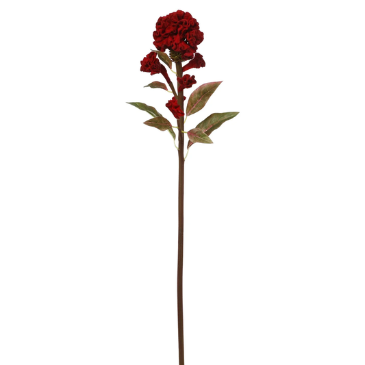 Ball Celosia 22" Red