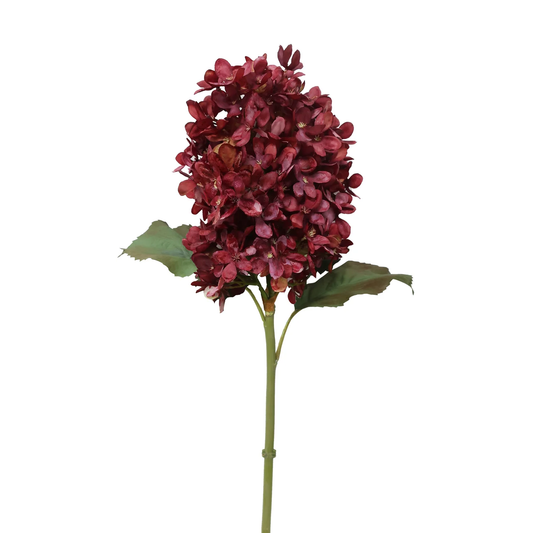 Hydrangea Stem - Rust 21"