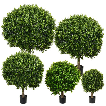 Potted New Boxwood Ball 24Dx32H
