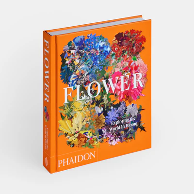 Flower: Exploring The World In Bloom
