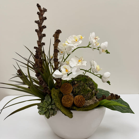 Tranquil Orchids Arrangement