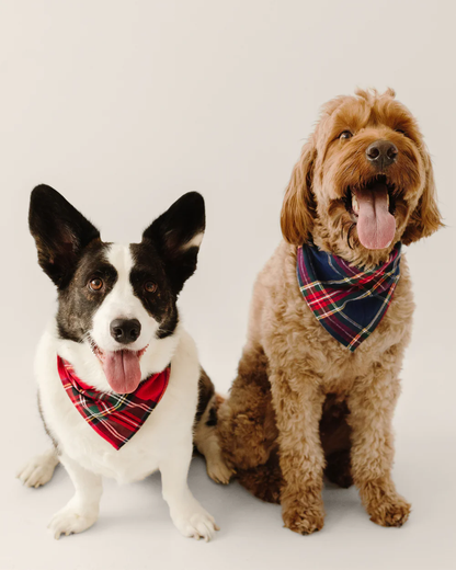 Dog Bandana - Windsor Tartan