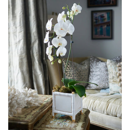 Small Bamboo Gold & White Cachepot 7.5"