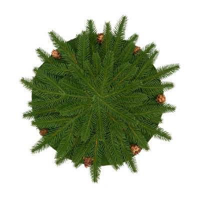 SRO Pine Cone Placemat