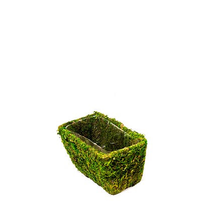 SPM Chino Deco Moss Basket - Small 7.9"