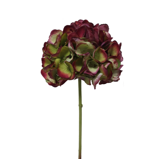 Hydrangea Short Stem 21" - Green & Burgundy