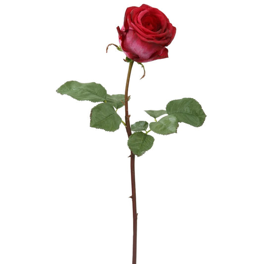 WWF Ecuadorian Rose Bud - Red 20.5"