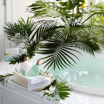 THY Neroli Sol - Hand Creme 3oz