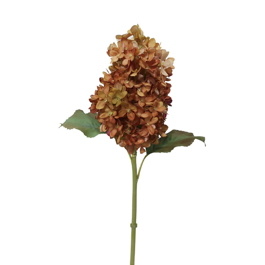 Hydrangea Stem Full Stem - Light Brown 21"