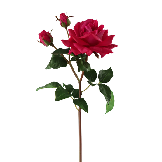 WWF English Rose Sweet Juliet Stem - Fuchsia 22"