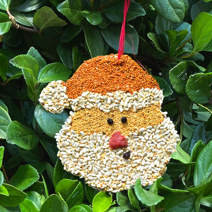 MBR Santa Christmas Cookie Ornament