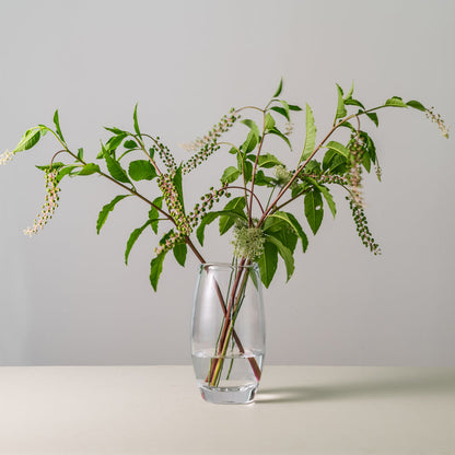 Burlington - Vase - Large - 11"H
