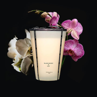 Black Orchid & Lily - 7 Wick Candle 15.4lbs
