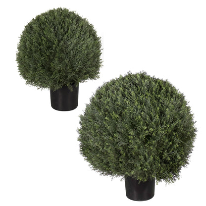 Potted Pond Cypress Ball Tree 30" - Outdoor