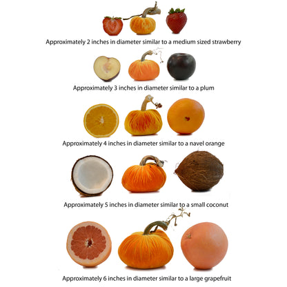 PPK Velvet Pumpkin - Apricot -