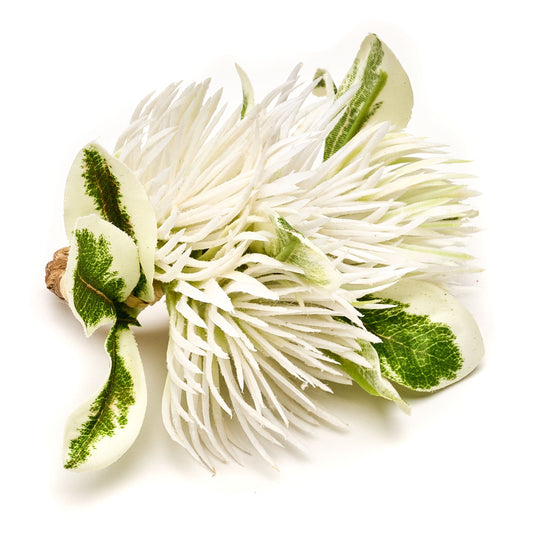 DBR Thistle Cluster Napkin Ring - White