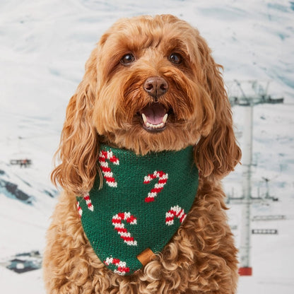 Pet Bandana - Candy Cane Knit -