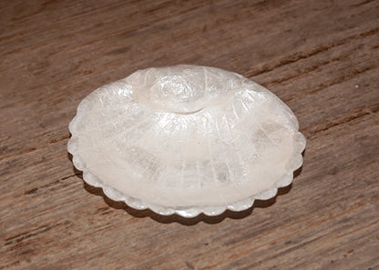 Capiz Shell Scroll Shell Bowl - White 6"
