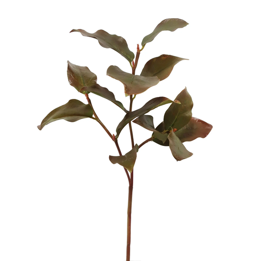 WWF Salal Leaf 19" - Natural Brown