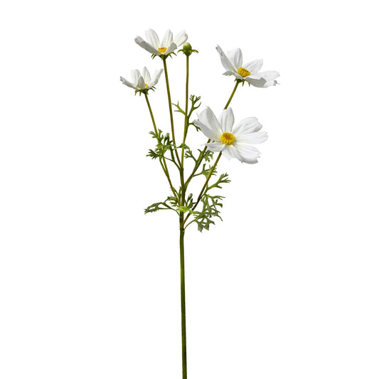 WWF Cosmo Spray - White 29"