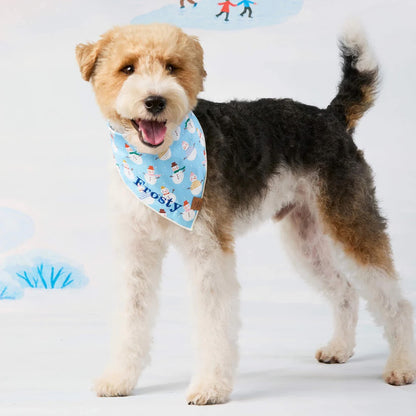 Pet Bandana - Frosty Friends -