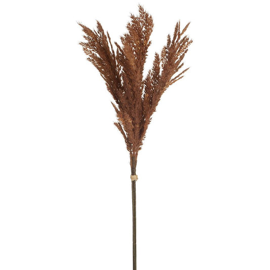 Flocked Pampas Grass Bundle - Brown 26"