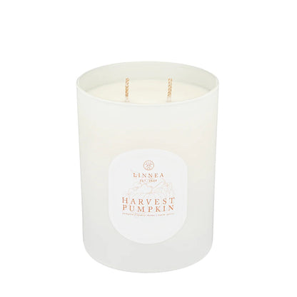 LNA Harvest Pumpkin - 2 Wick Candle 11oz