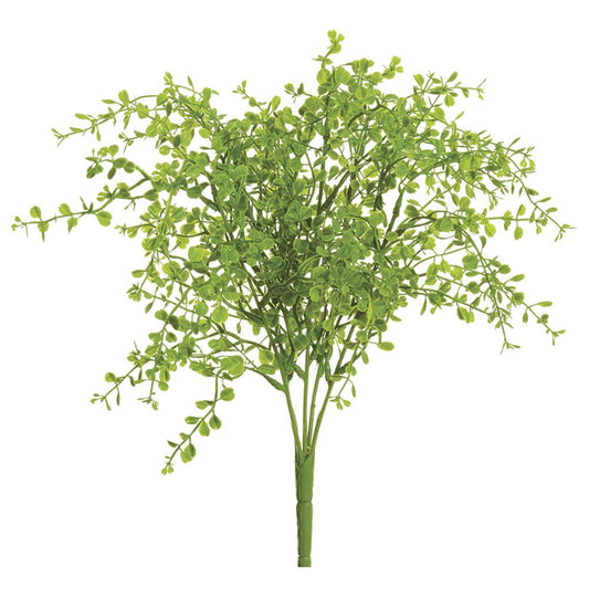 Soft Button Fern Bush - Green 13"