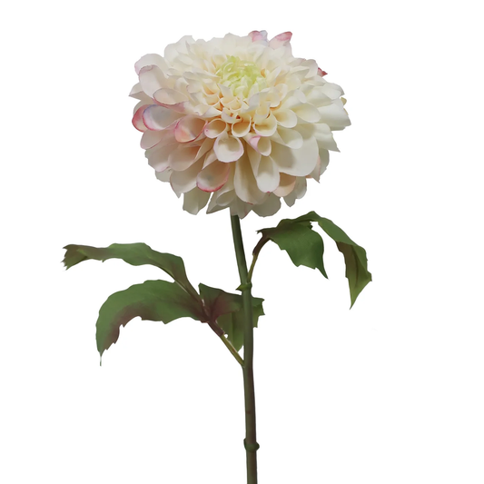 WWF Dahlia Water Color - Cream - 19.5"