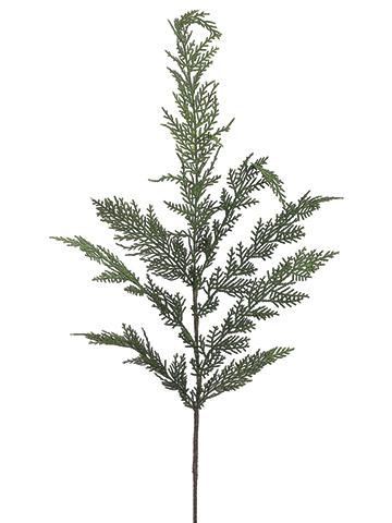 ASF Cedar Spray Green 30"