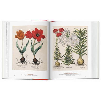 A Garden Eden: Masterpieces of Botanical Illustration