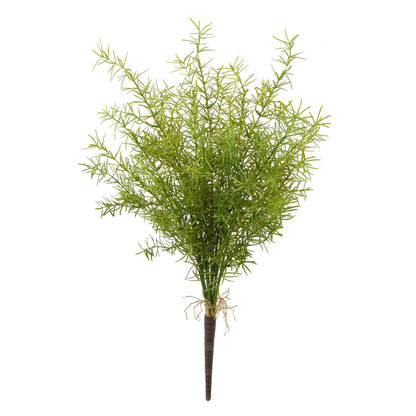 WWF Asparagus Spring Fern Bush 20"