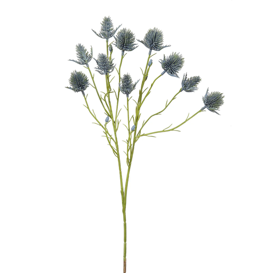 WWF Eryngium Spray - 27"