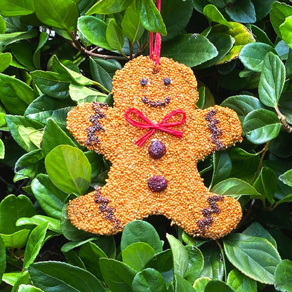Gingerbread Man Birdseed Christmas Cookie