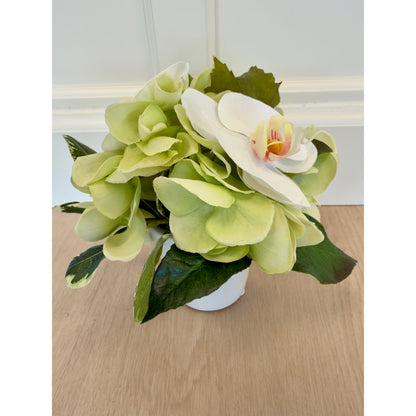 Light Green Hydrangea Floral Arrangement 8"H7"W