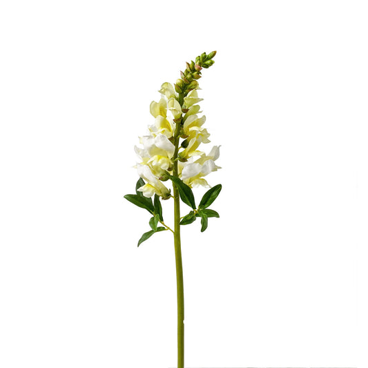 WWF Snapdragon Stem - Yellow 23"