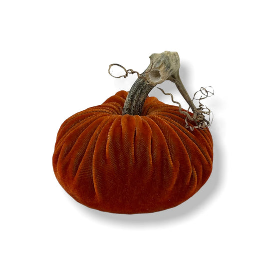 PPK Velvet Pumpkin - Apricot -