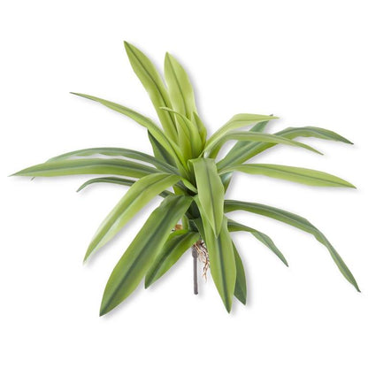 Agave Foliage Spray 24"