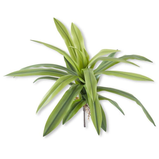 Agave Foliage Spray 24"