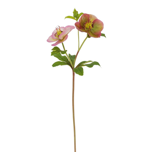 WWF Hellebores Stem - Mauve 16.5"