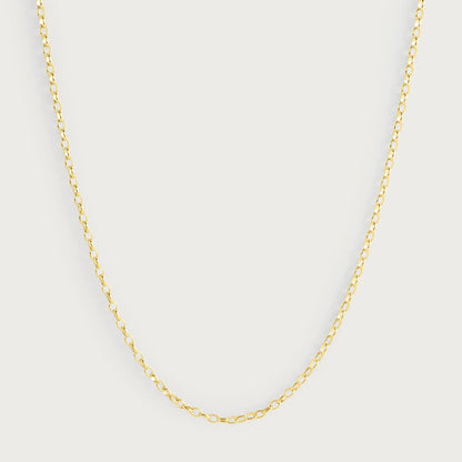 Long Chain Necklace