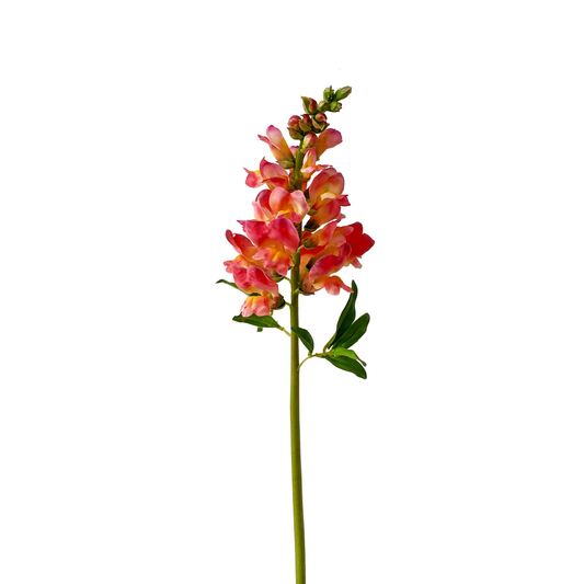 WWF Snapdragon Stem - Orange 23"