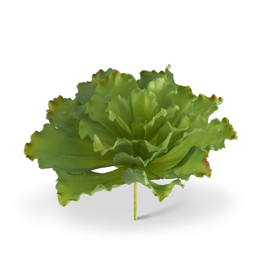 Echeveria Succulent Pick - 11.75"