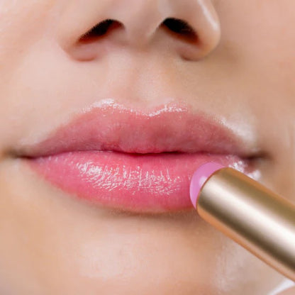 The Lip Stylus Lip Application Tool