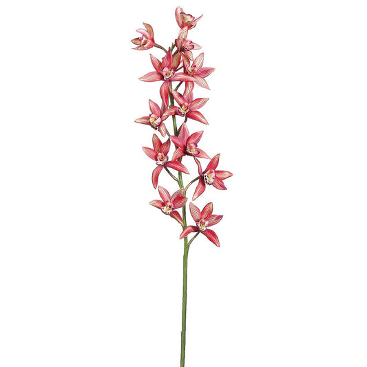 ASF Cymbidium Orchid Spray - Watermelon 38"