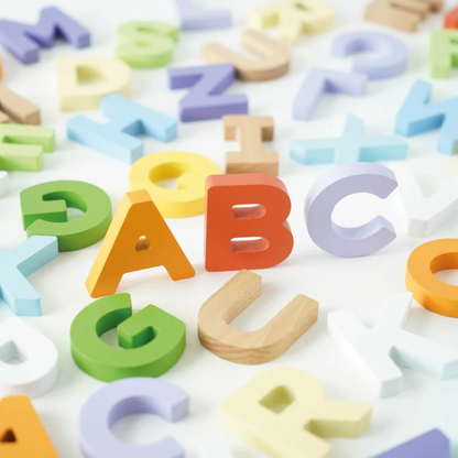 LTV Wooden Alphabet Set & Bag