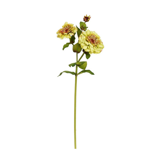 WWF Zinnia Stem - Green 26"