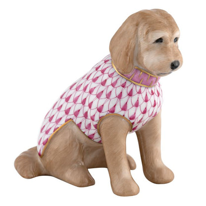 Labradoodle - Raspberry