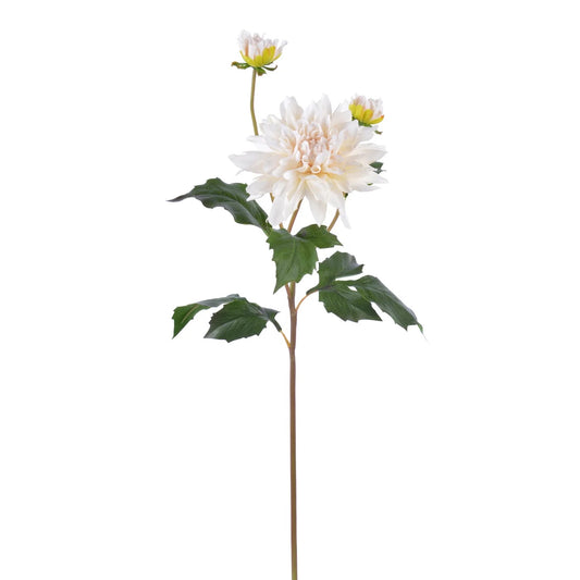WWF Dahlia with Buds - Beige 22.5"