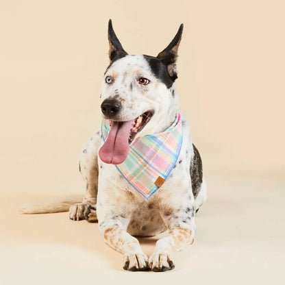 Pet Bandana - Blooming Plaid